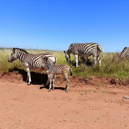 Sedgefield Lodge Witbank Εξωτερικό φωτογραφία