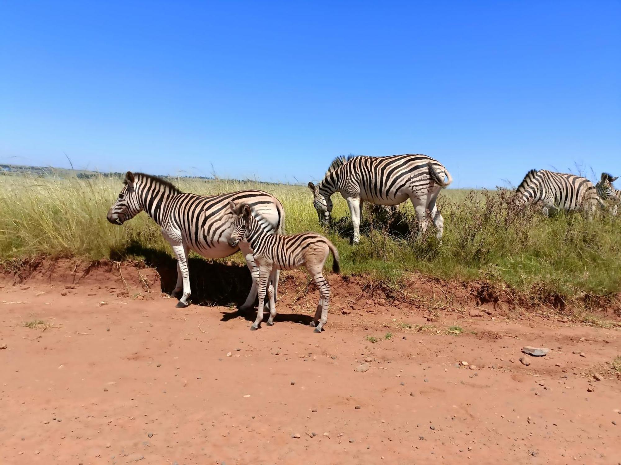 Sedgefield Lodge Witbank Εξωτερικό φωτογραφία
